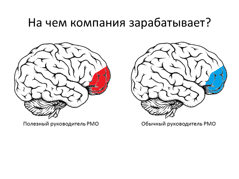 Слайд доклада