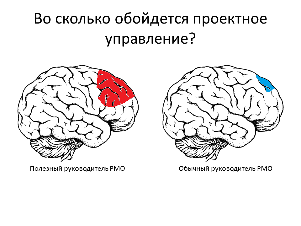 Слайд доклада