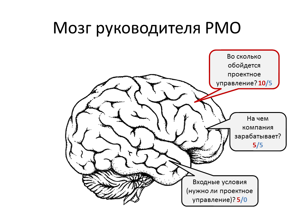 Слайд доклада