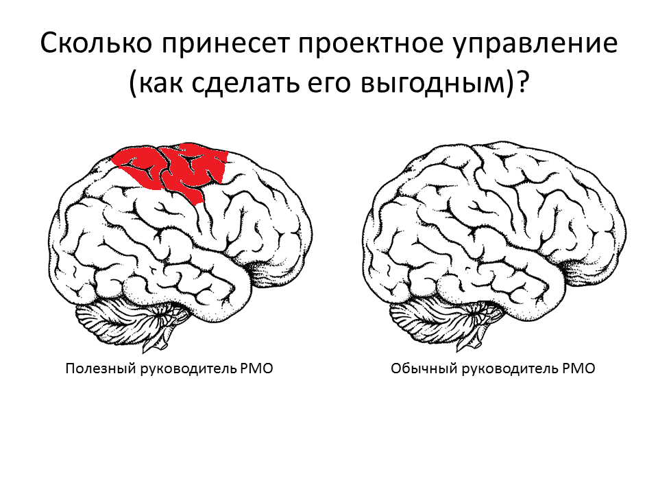 Слайд доклада