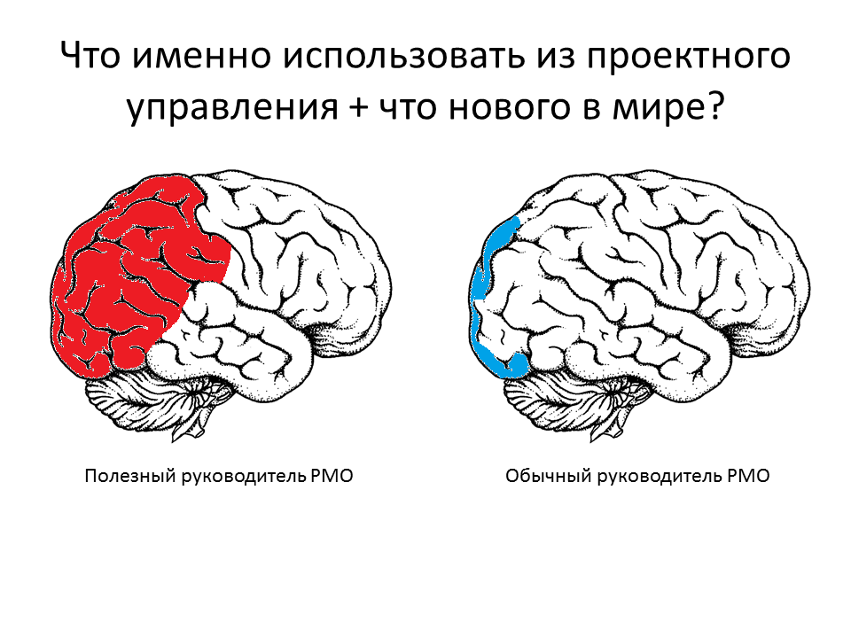 Слайд доклада