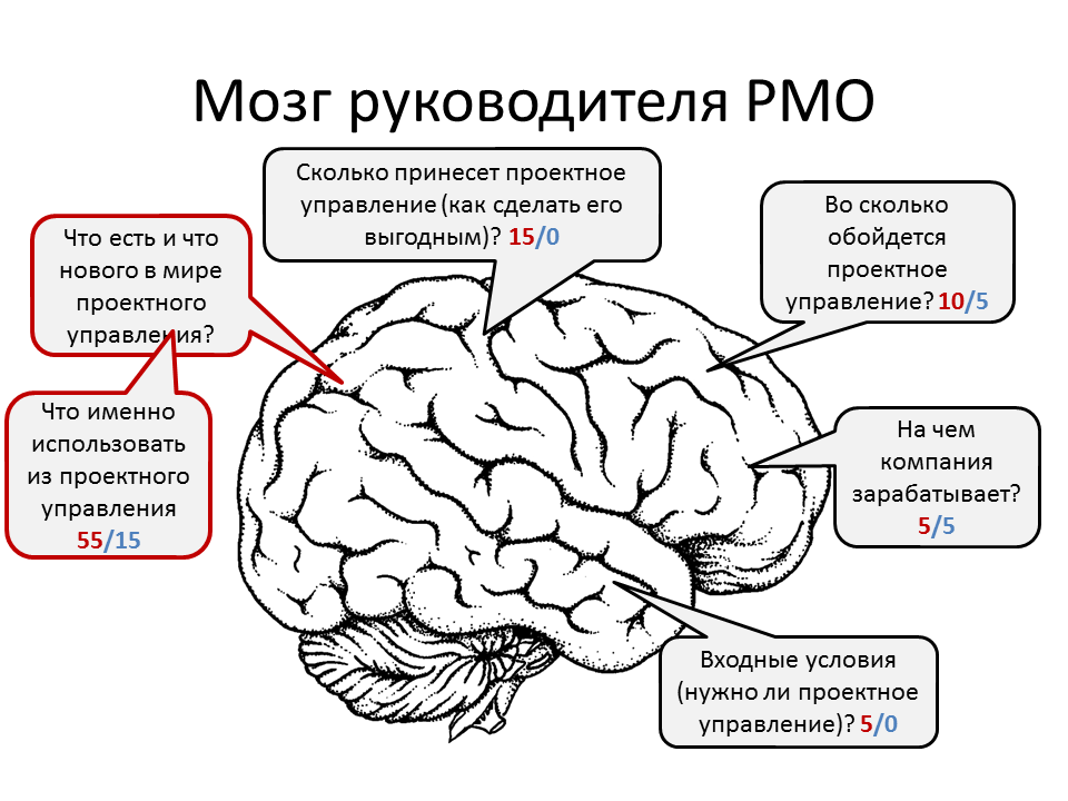 Слайд доклада