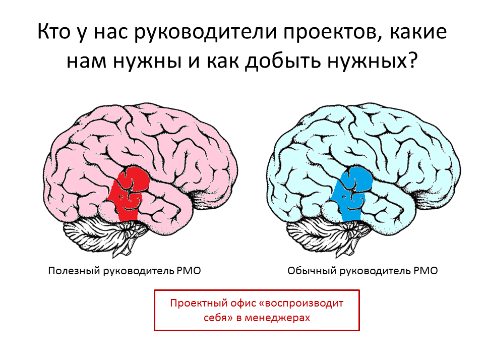 Слайд доклада