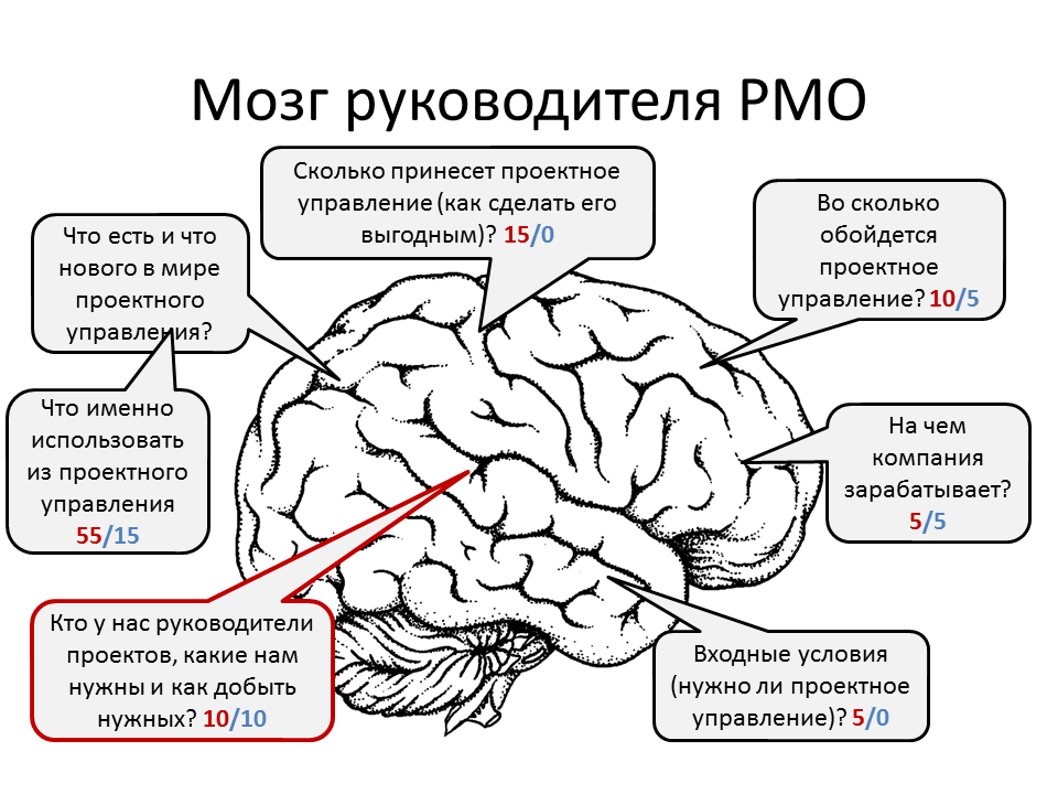 Слайд доклада