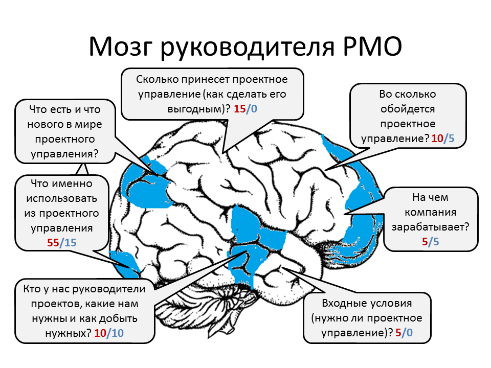 Слайд доклада